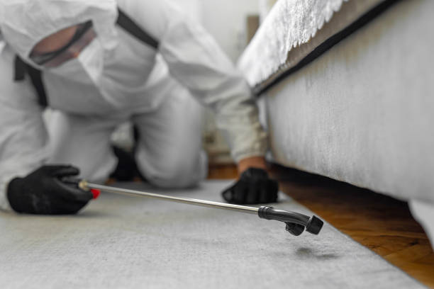 Professional Pest Control technician working in Irwindale, CA